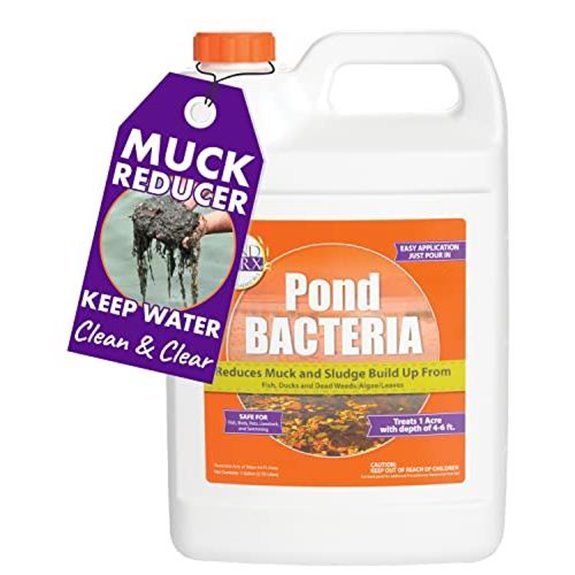 pondworx bacteria for ponds