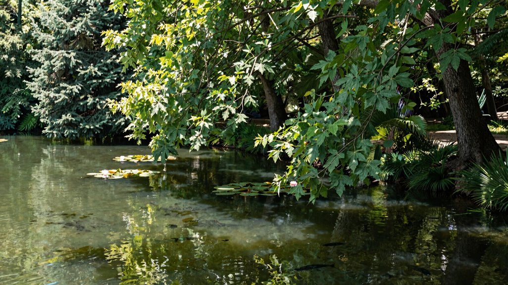 safe trees for koi pond health