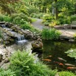 seven backyard pond ideas for tranquil retreat